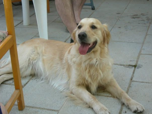 Nala