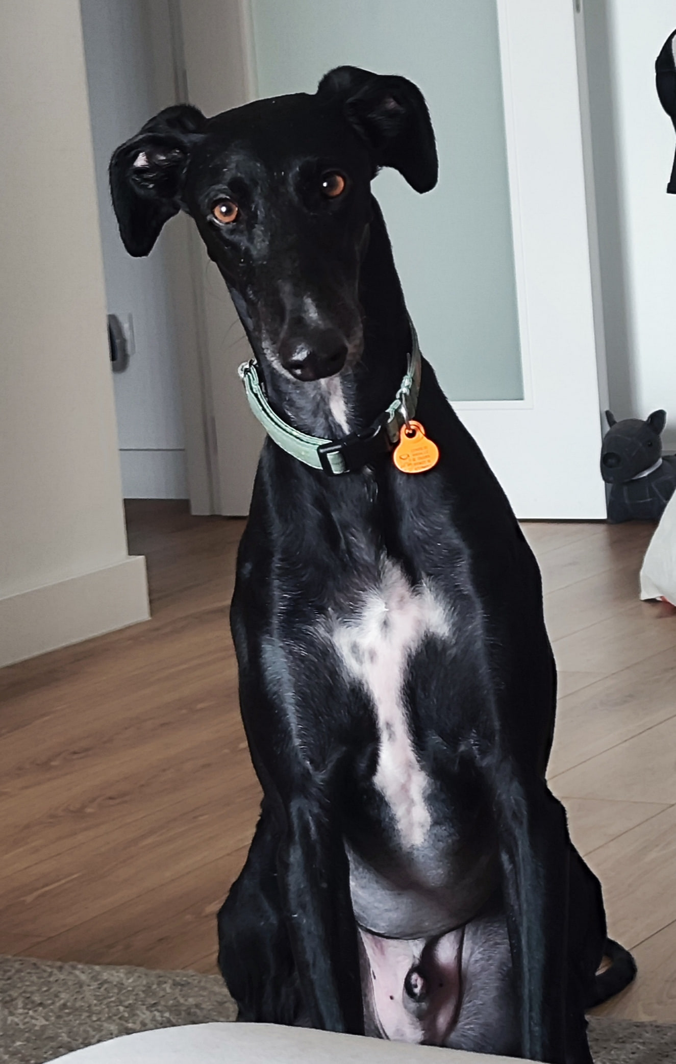 Odín