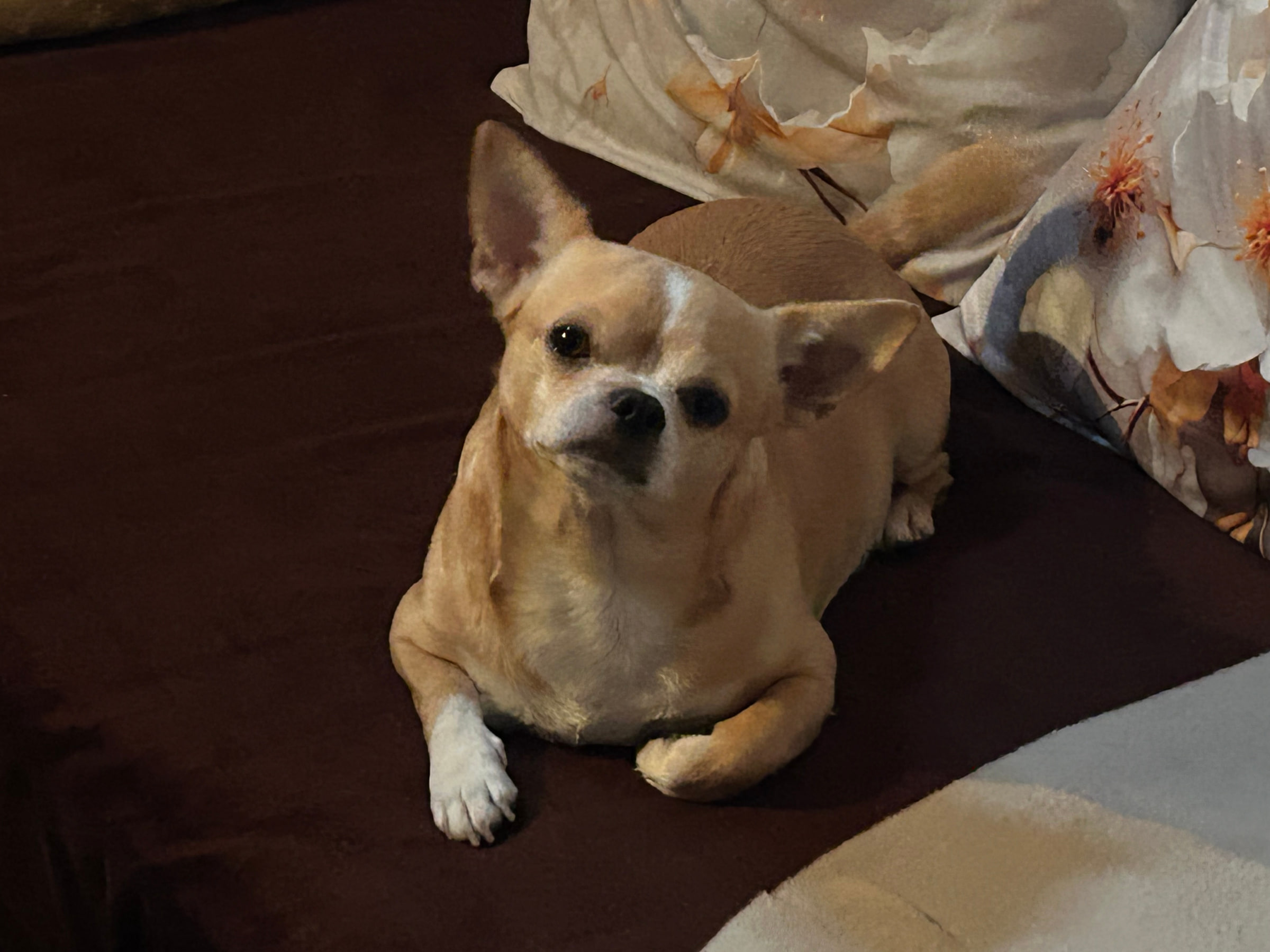 Coco