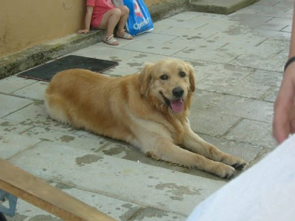 Frodo