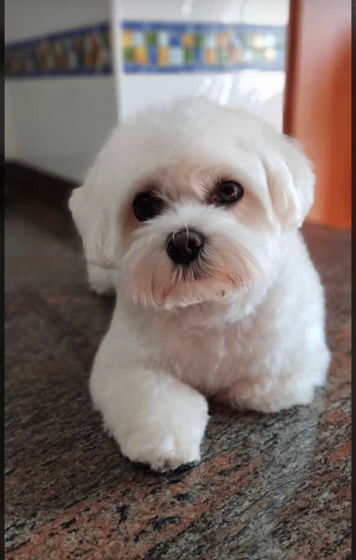 Yuki