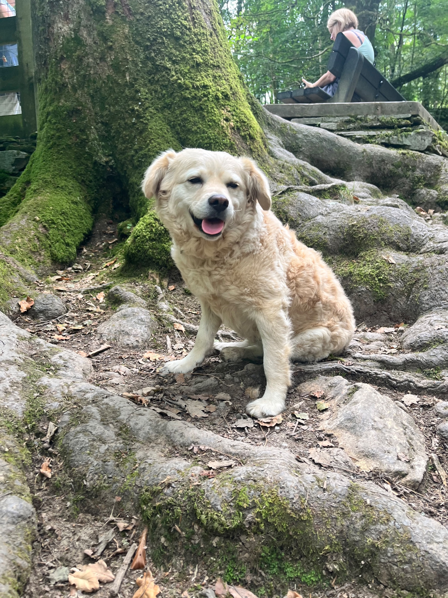 Nala