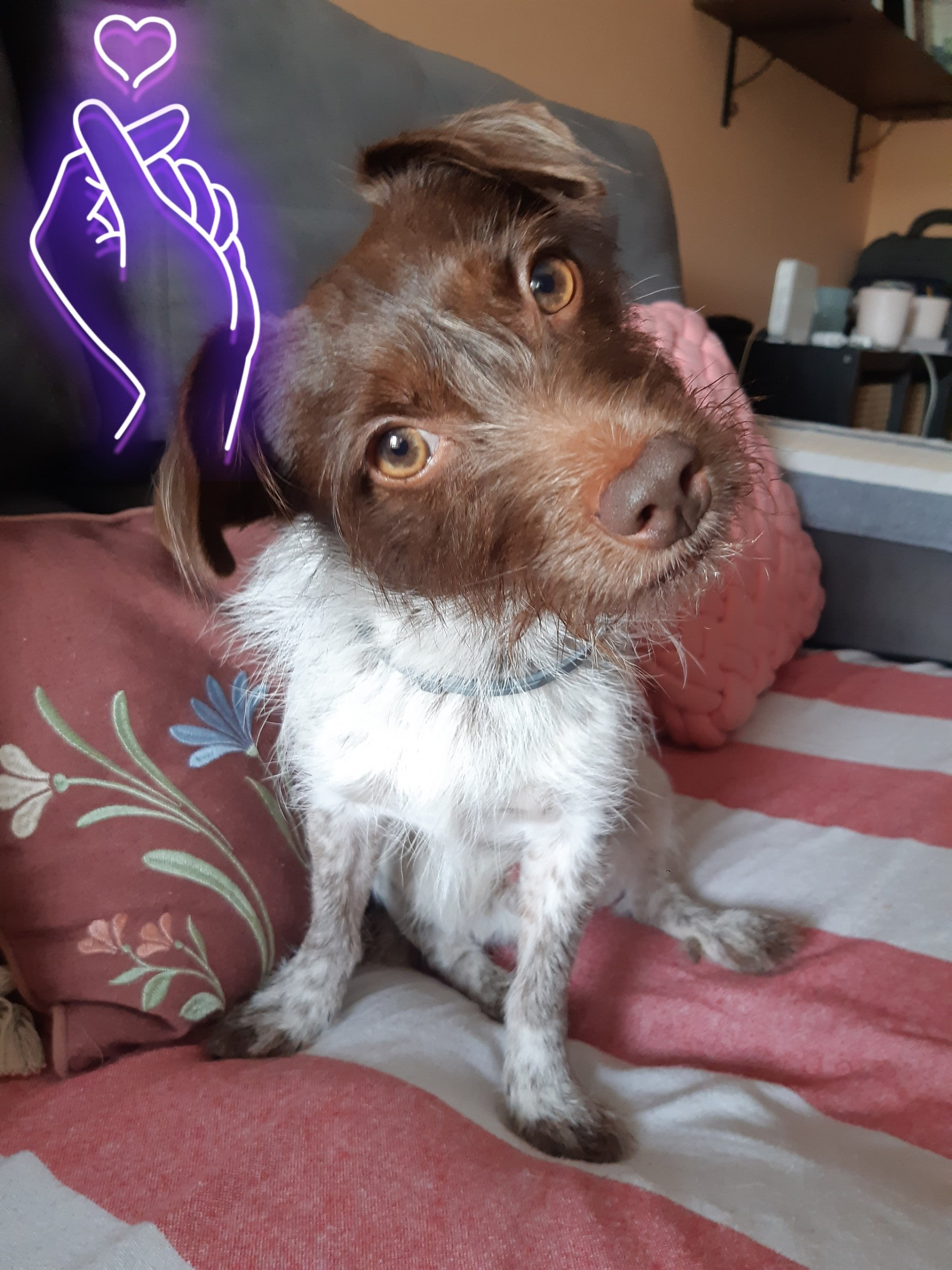 Coco