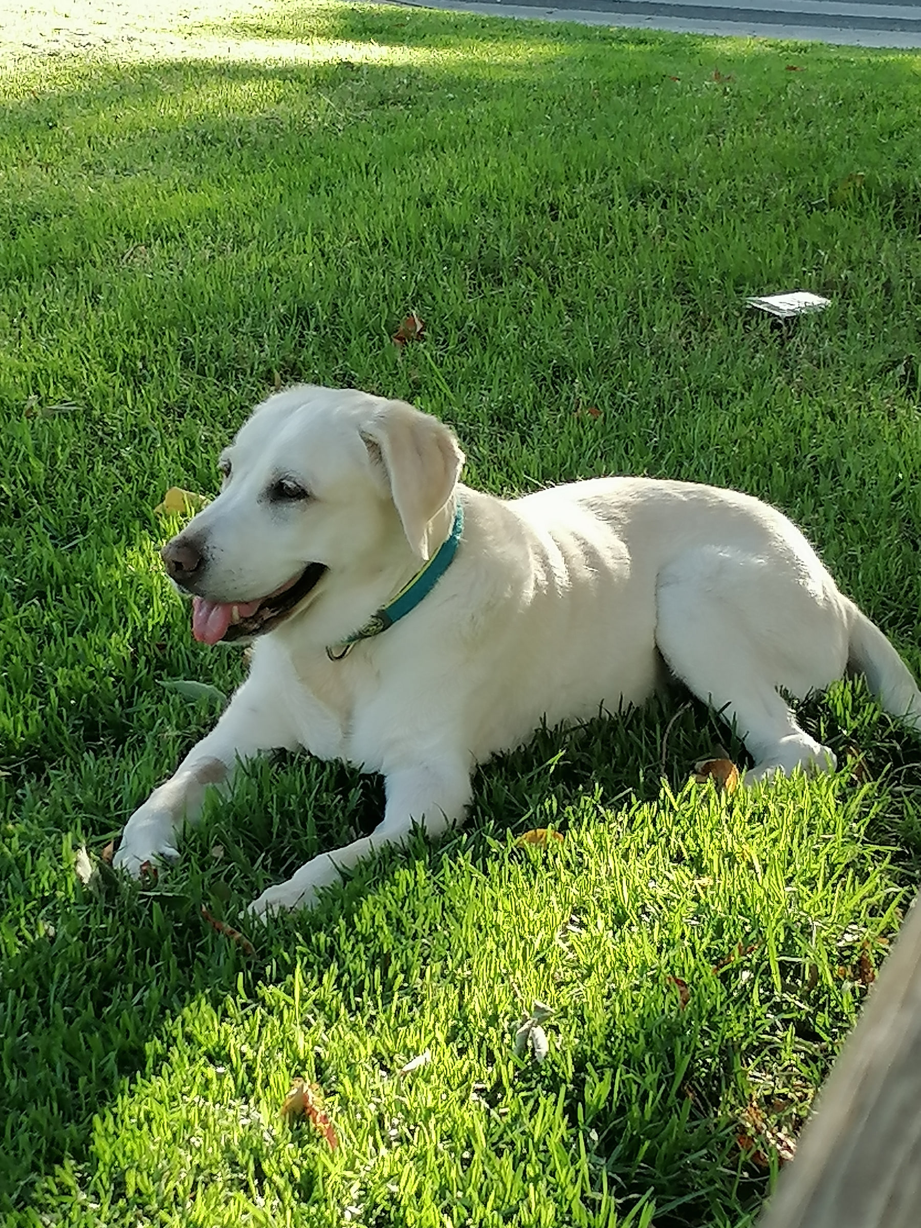 CORA