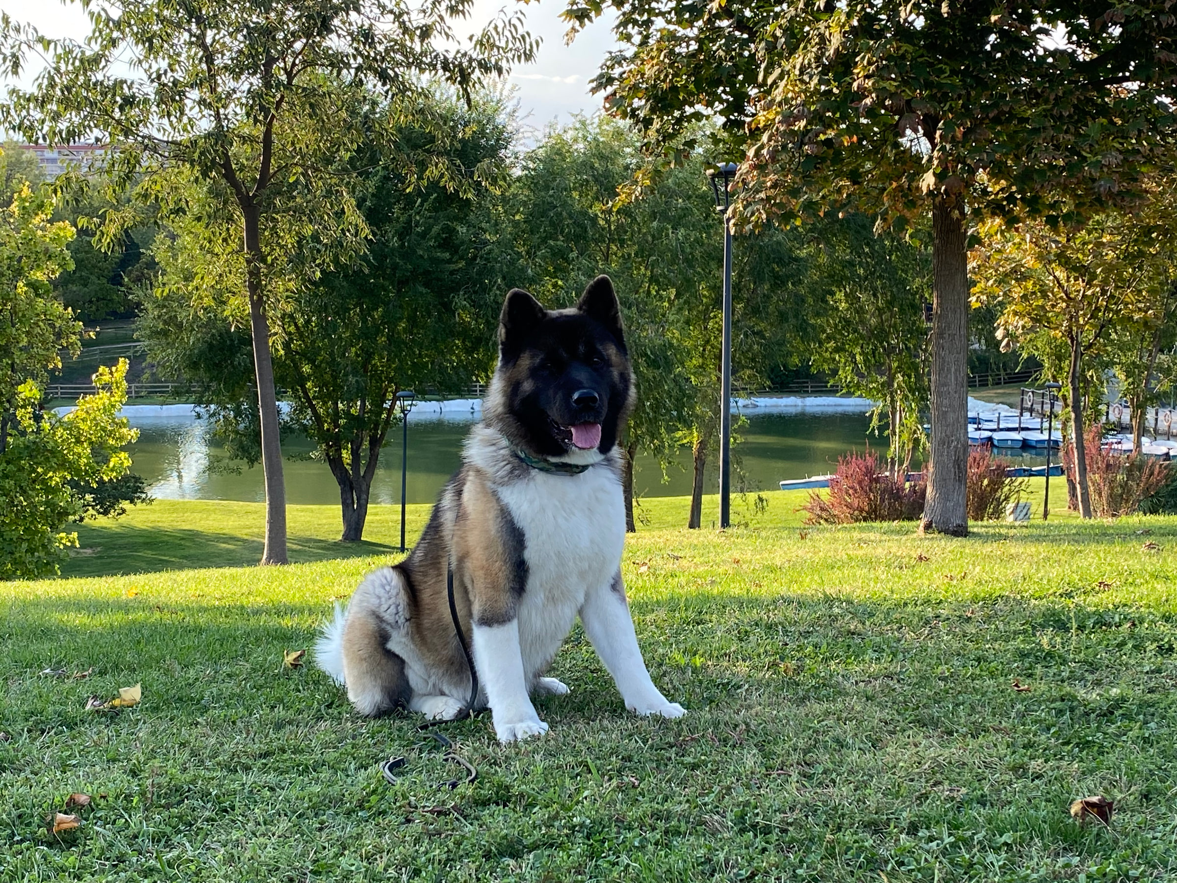 Freya