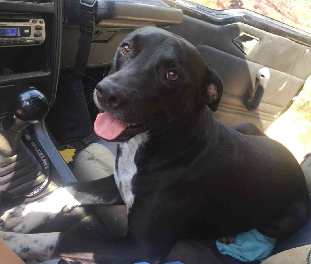 Max