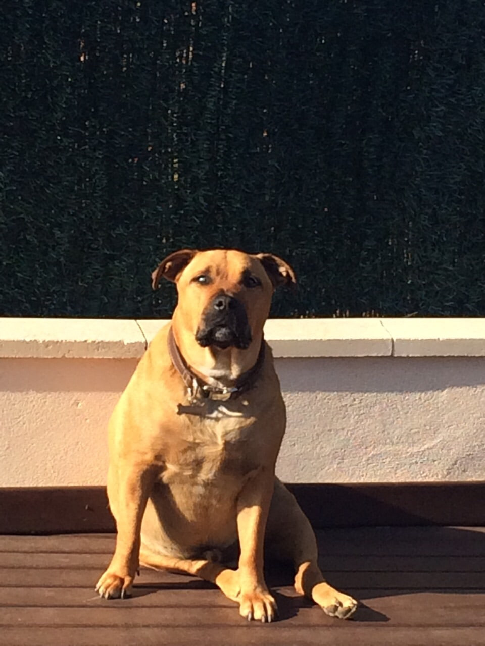 Max