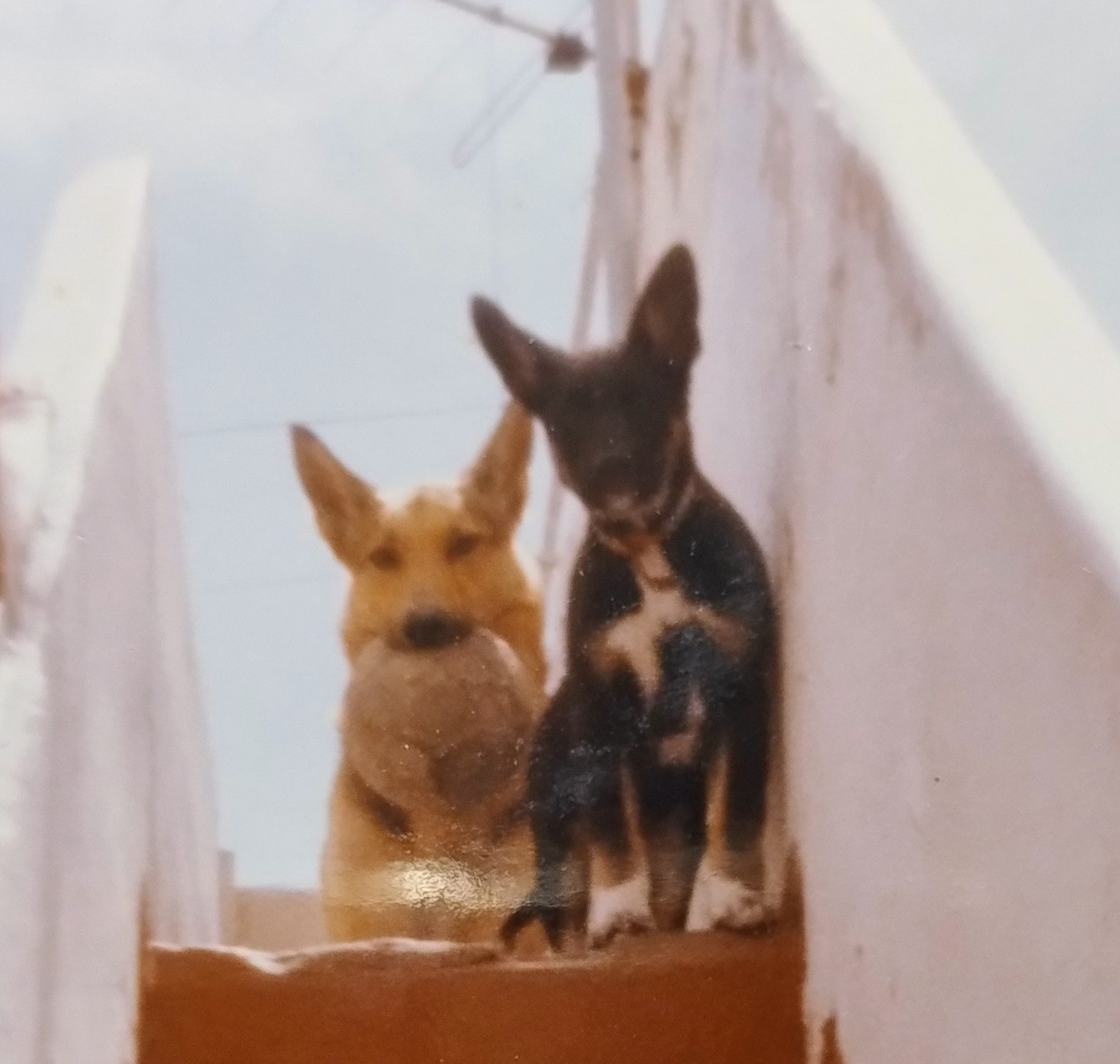 Titán y Kira
