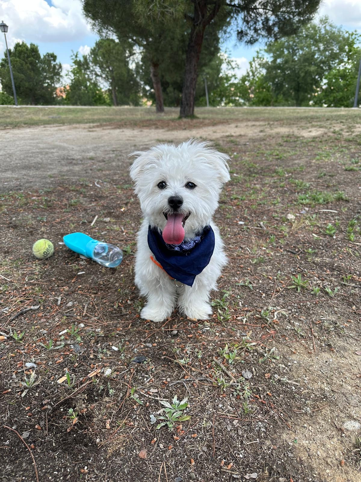 COCO