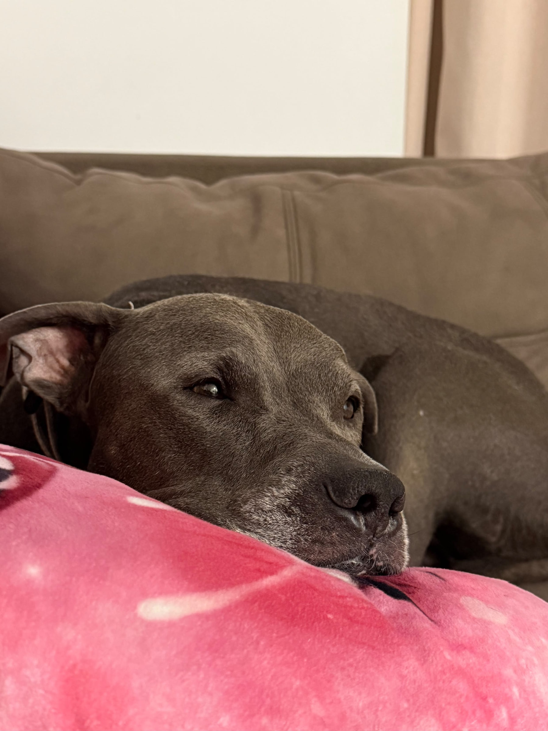Ares
