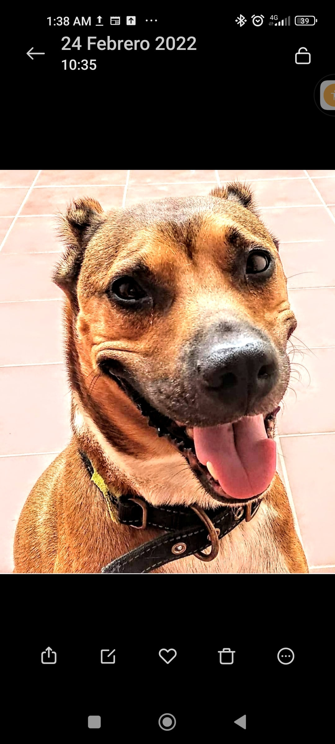 Leo