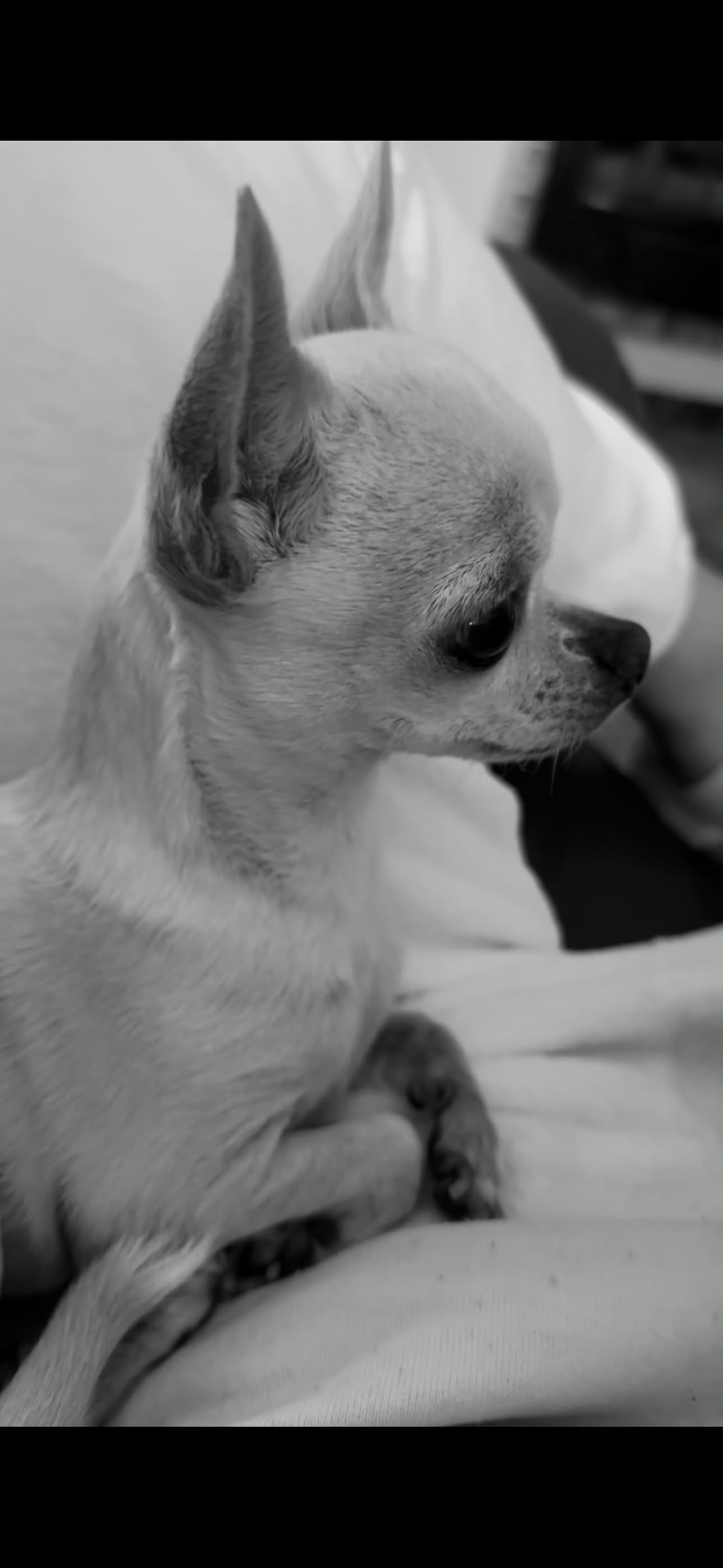 Chloe