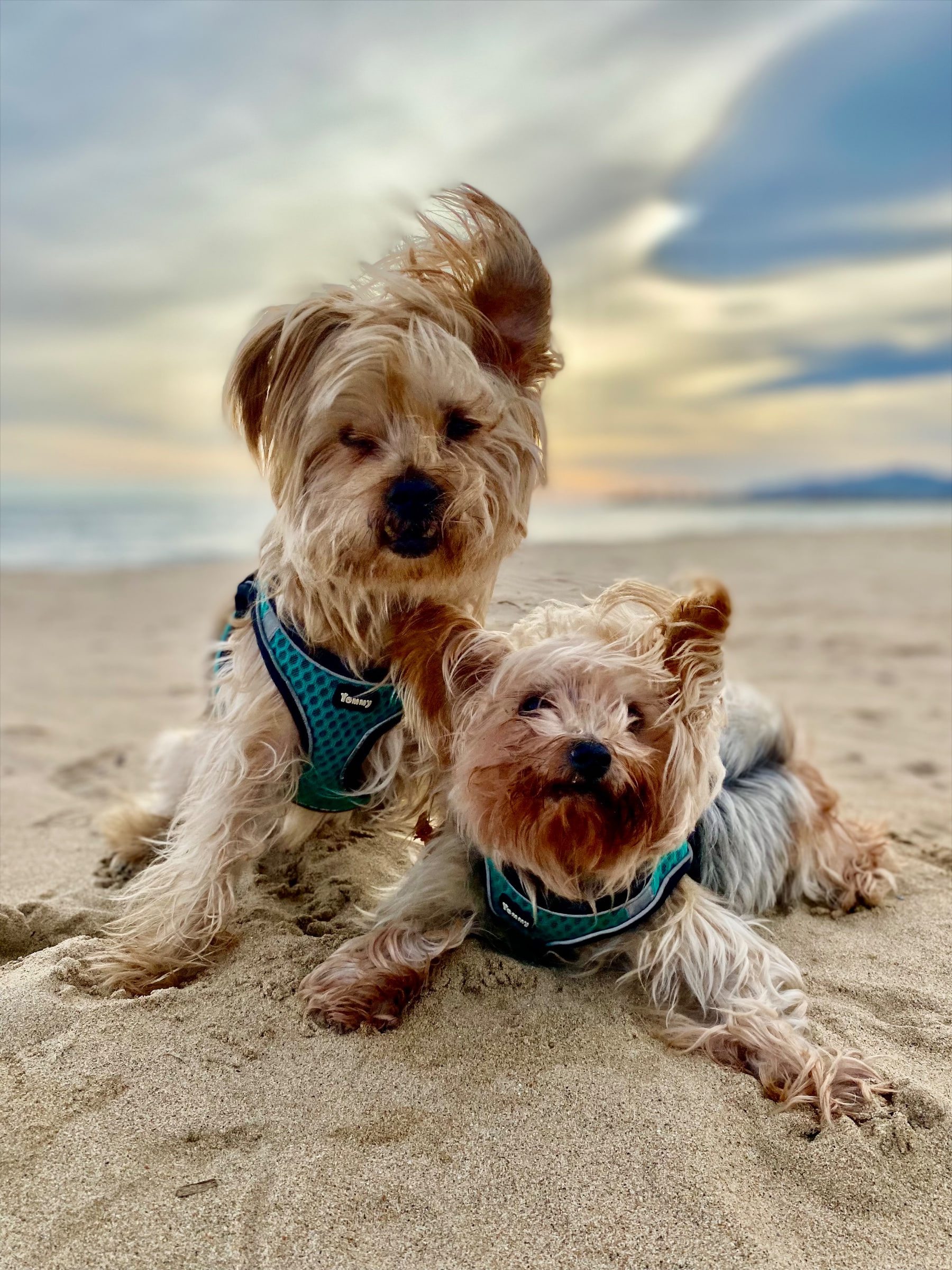 Nano y a Bobby