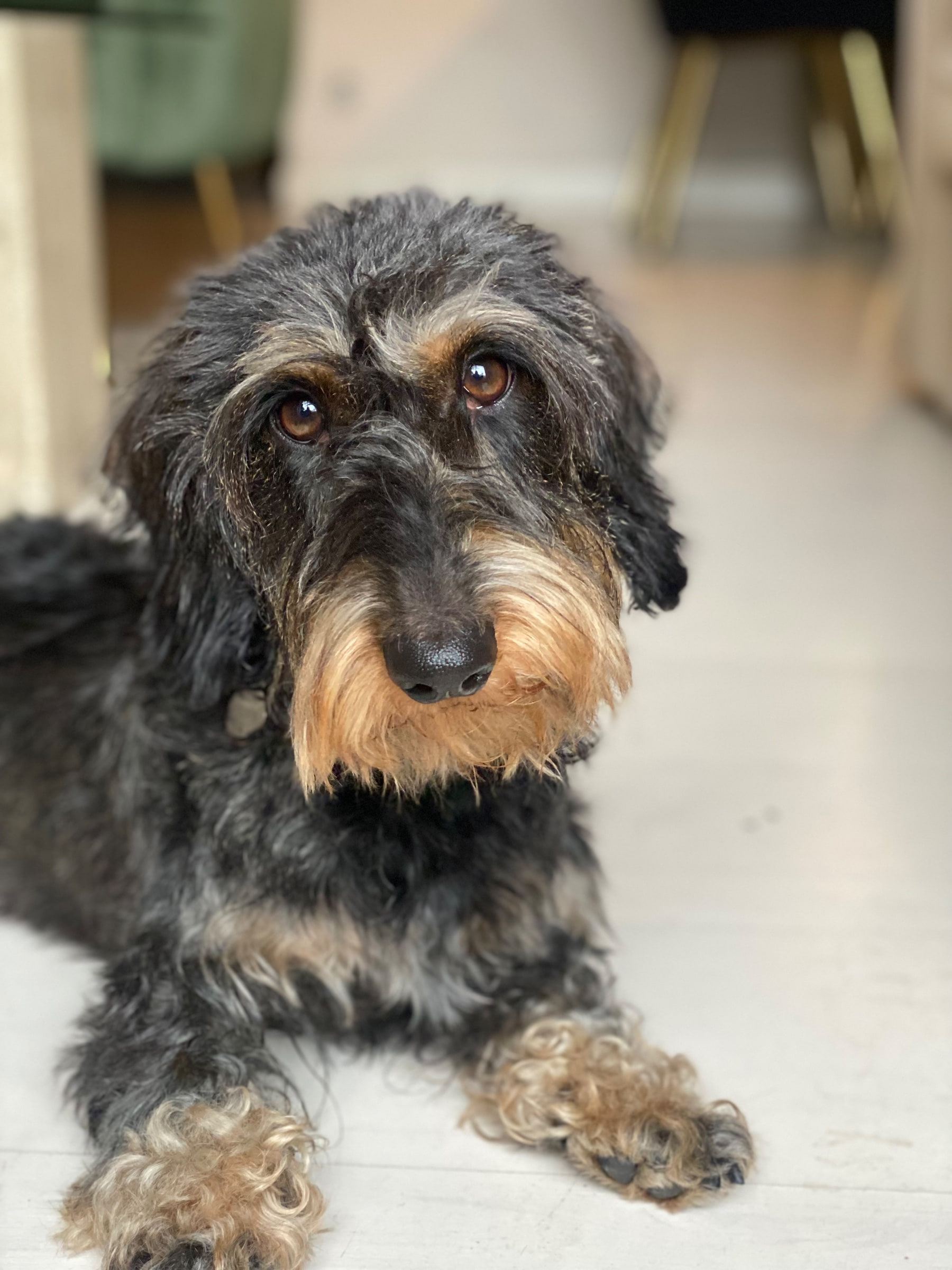 Pippa