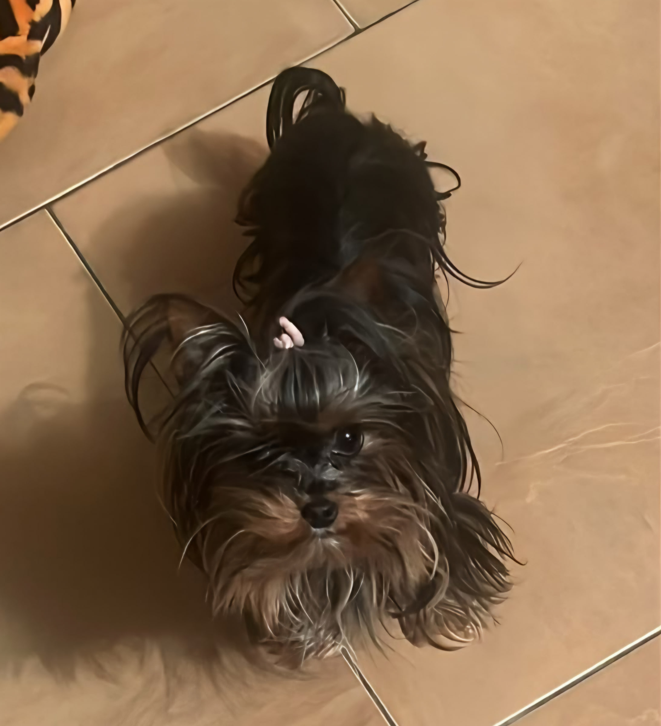 Renata