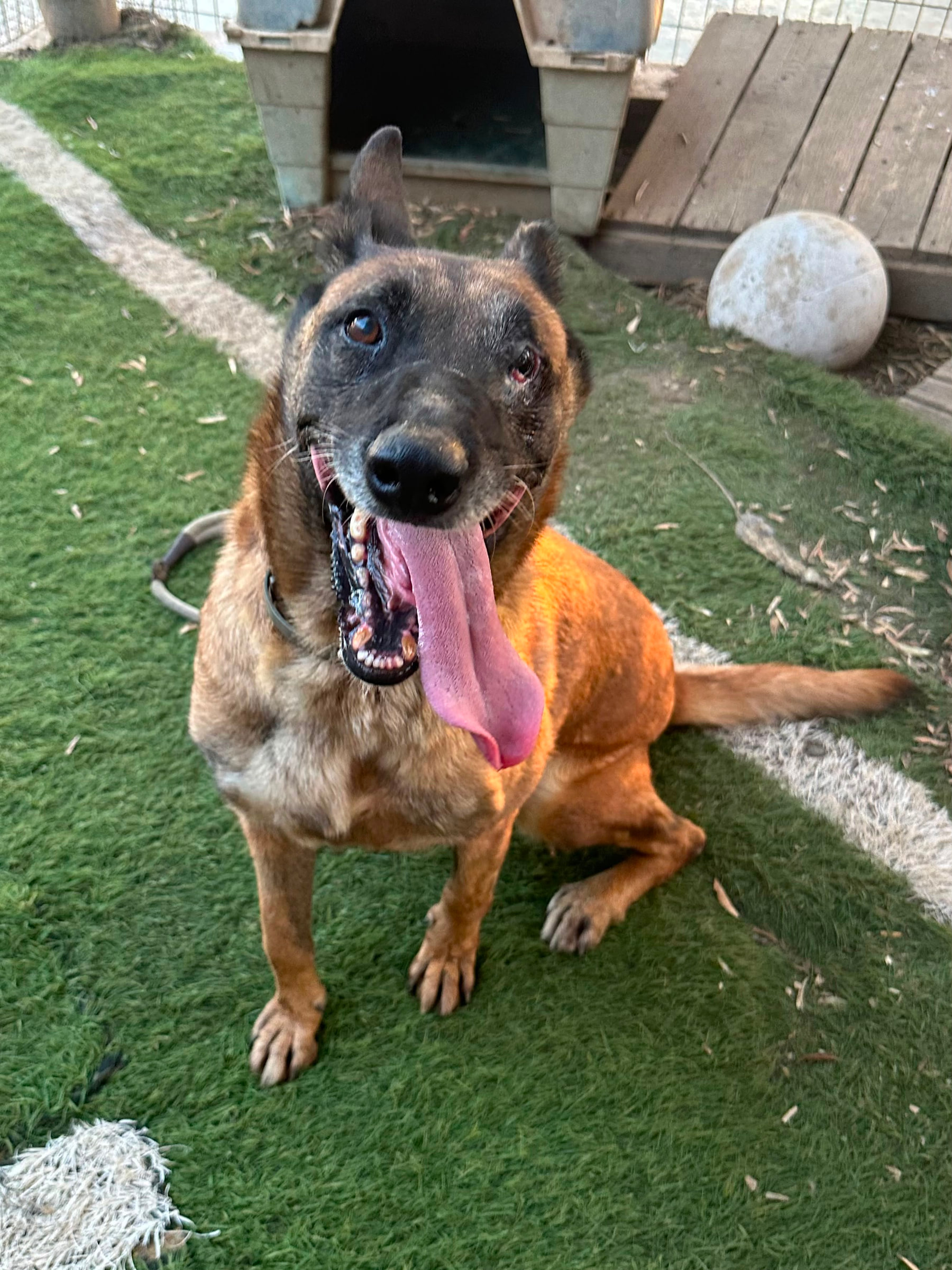 Xena
