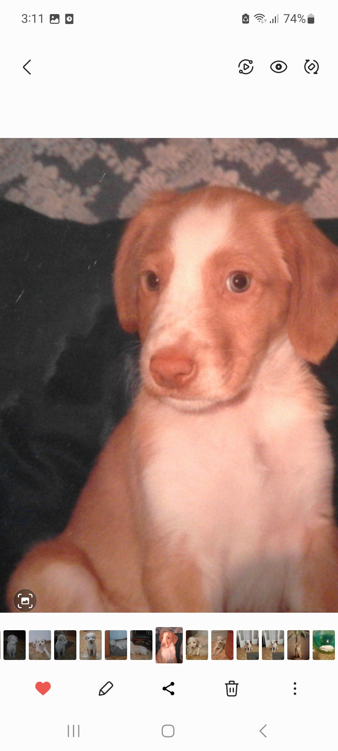 Budy