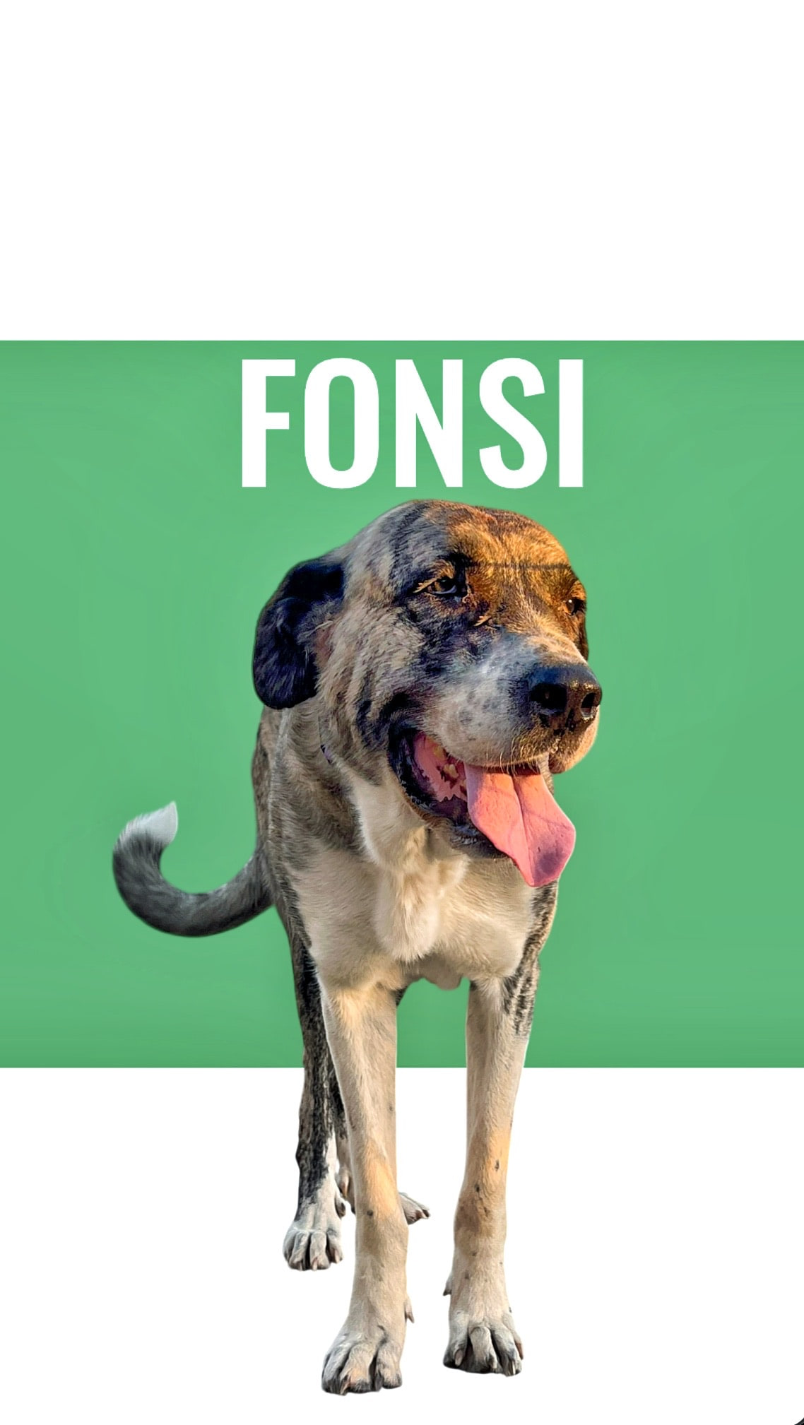 Fonsi