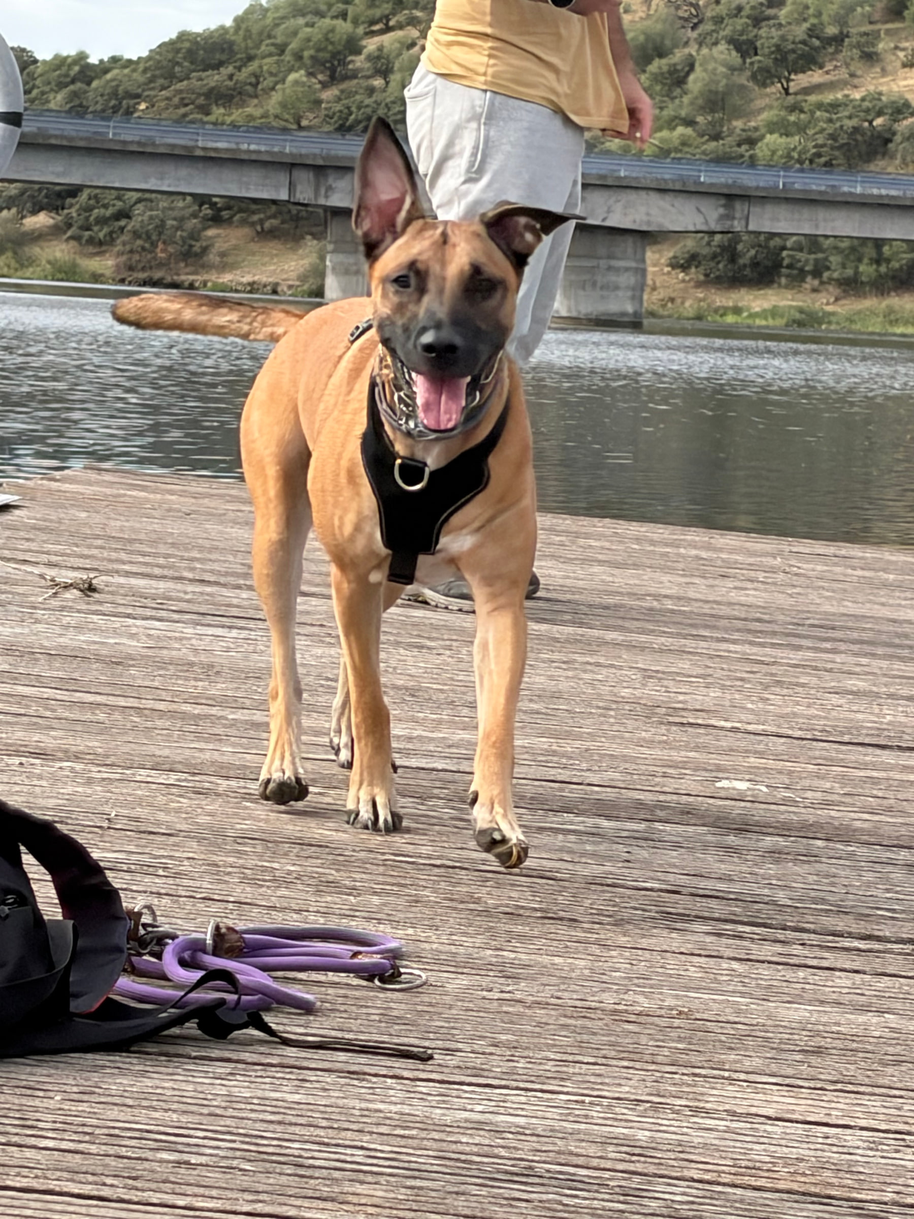 Hera