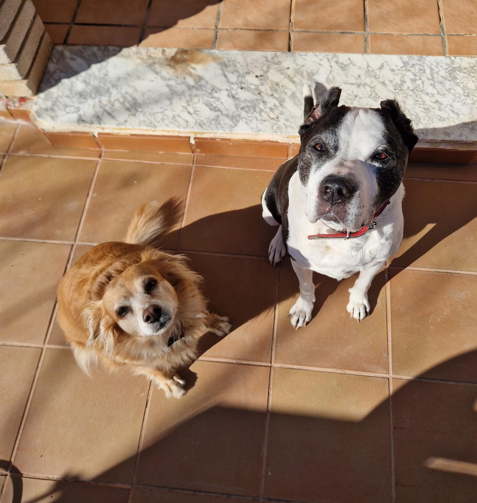 Cora y Zeus