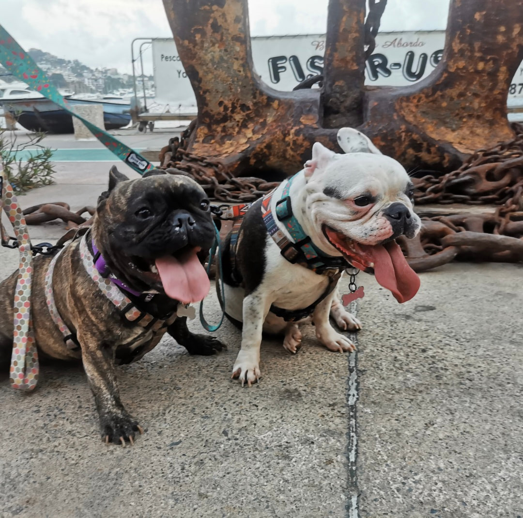 Lola y Trufa
