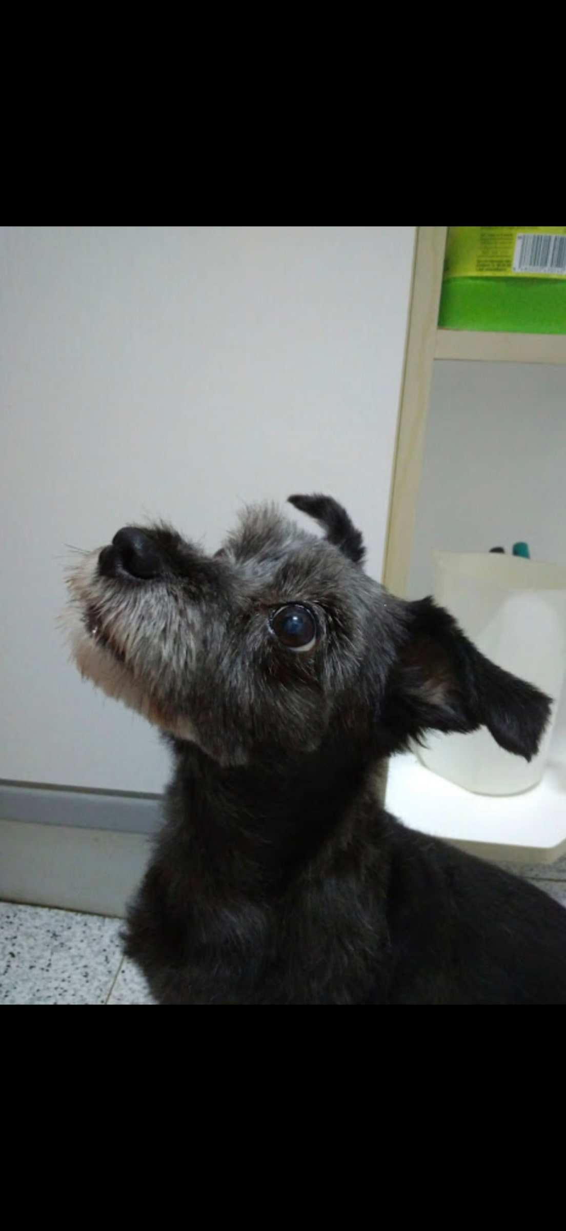 Yako