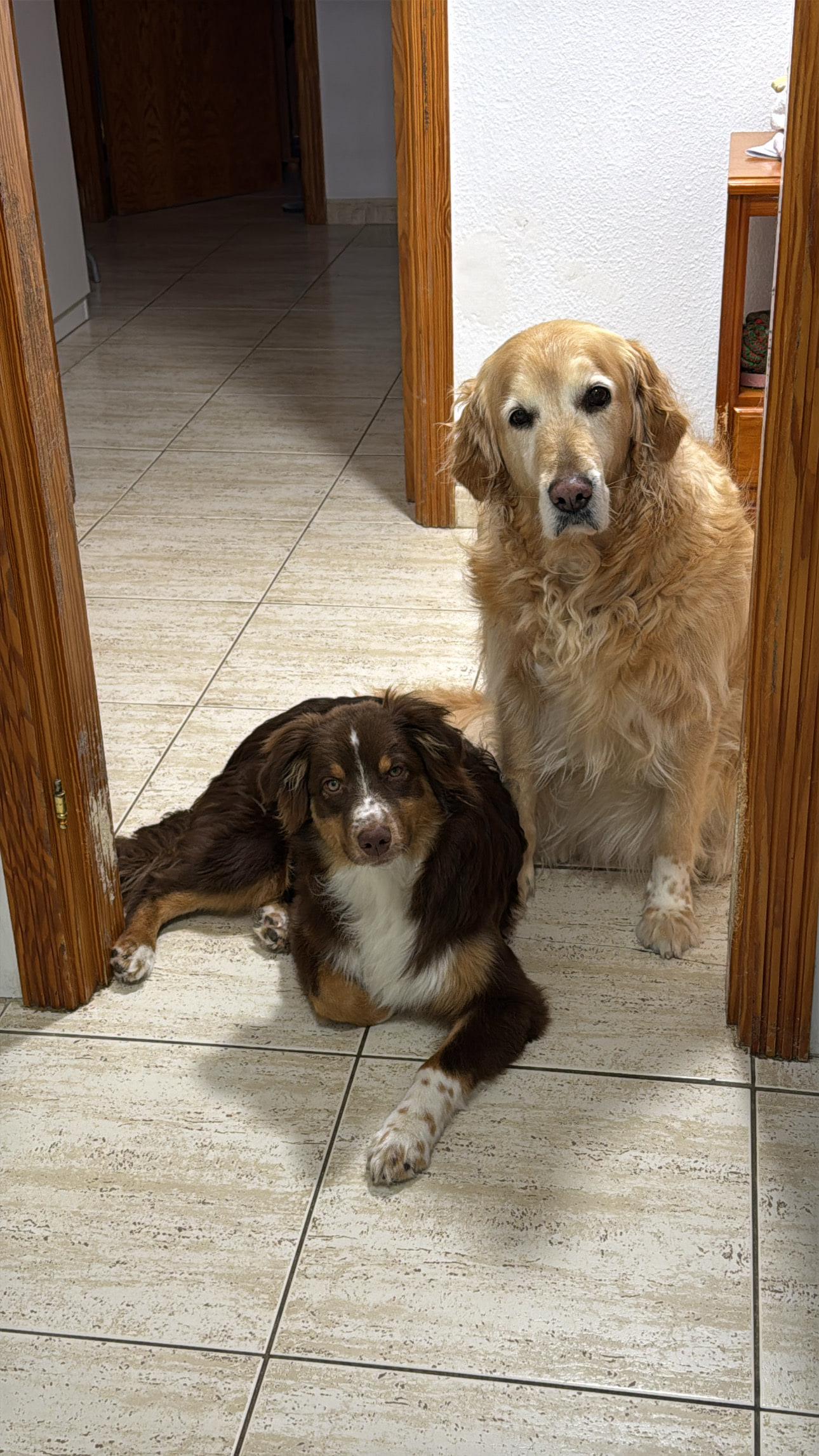Sansa y Greta