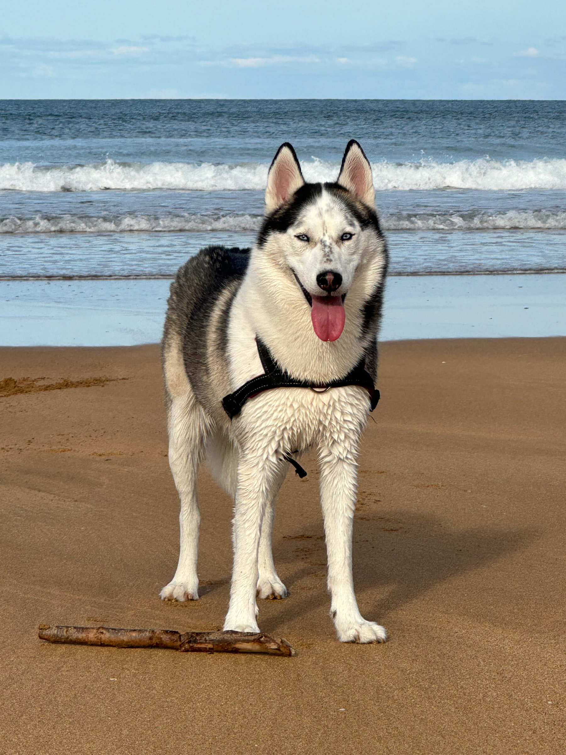 Kira