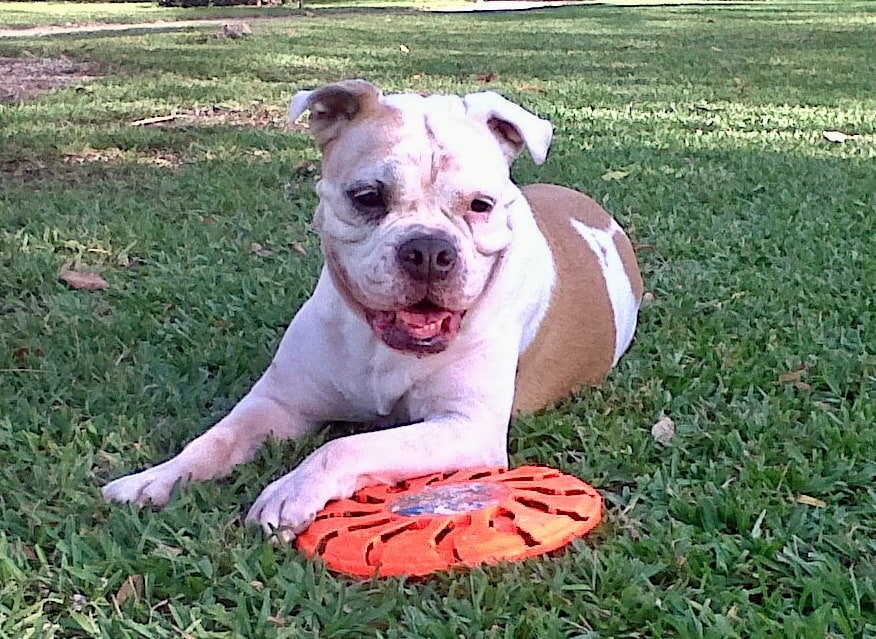 Molly