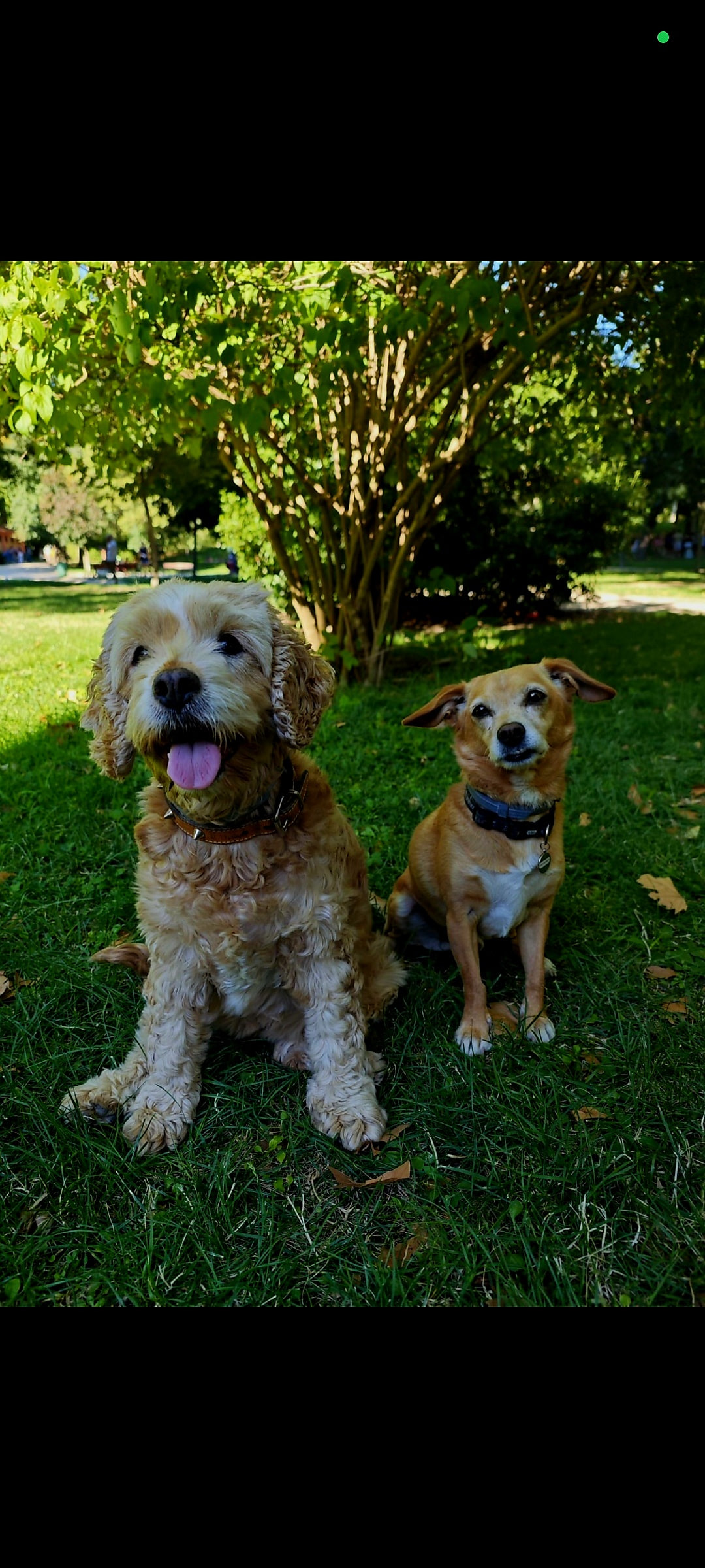 Flora y Suka