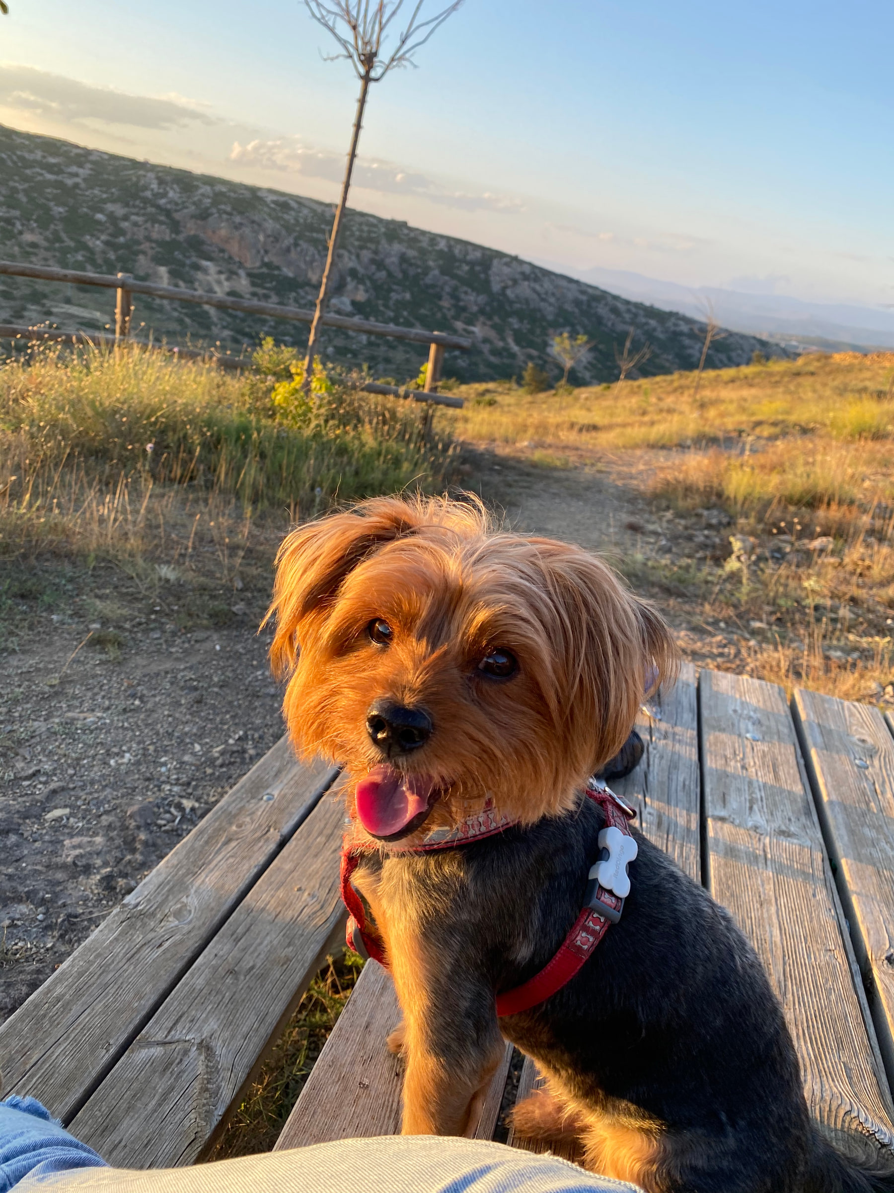 Max