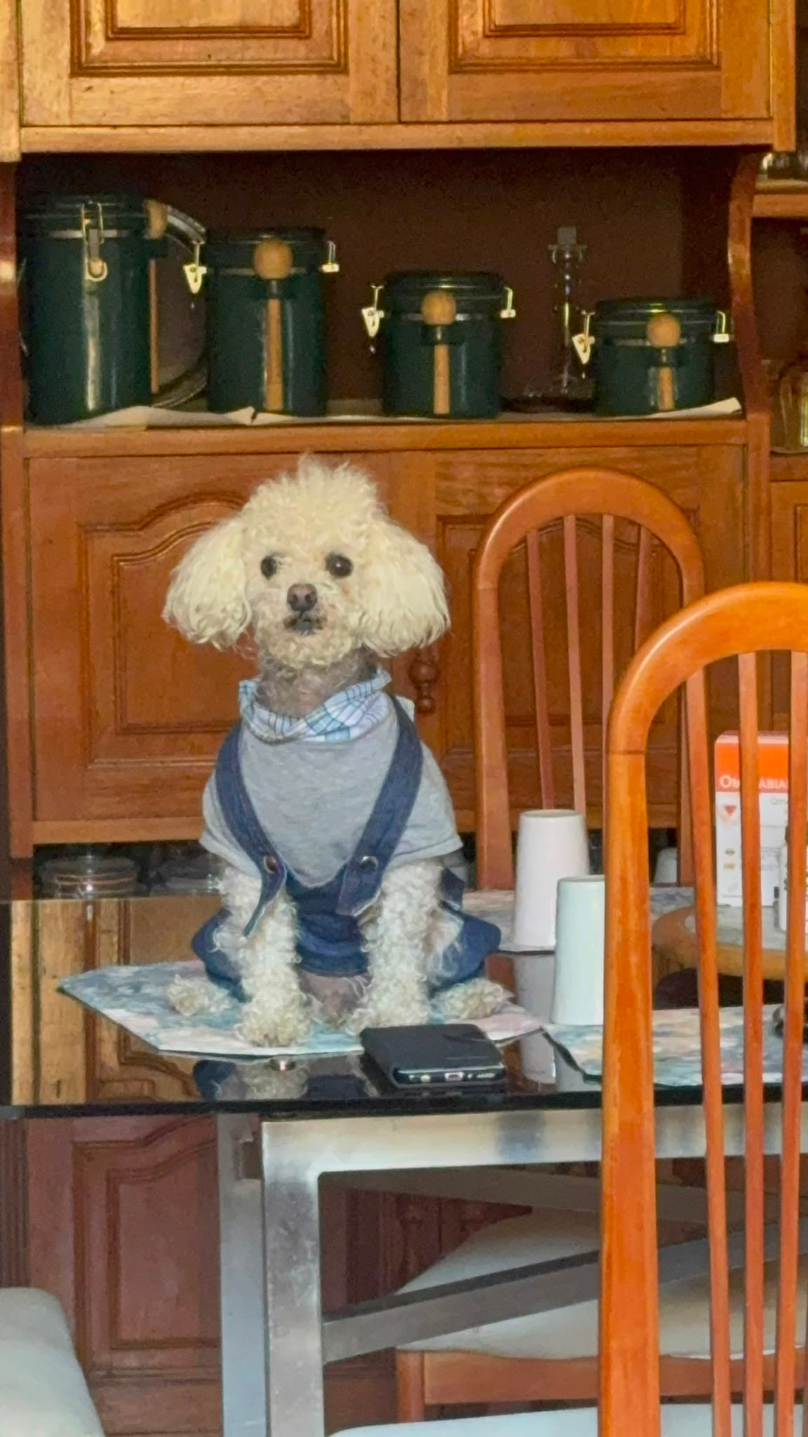 Tobi