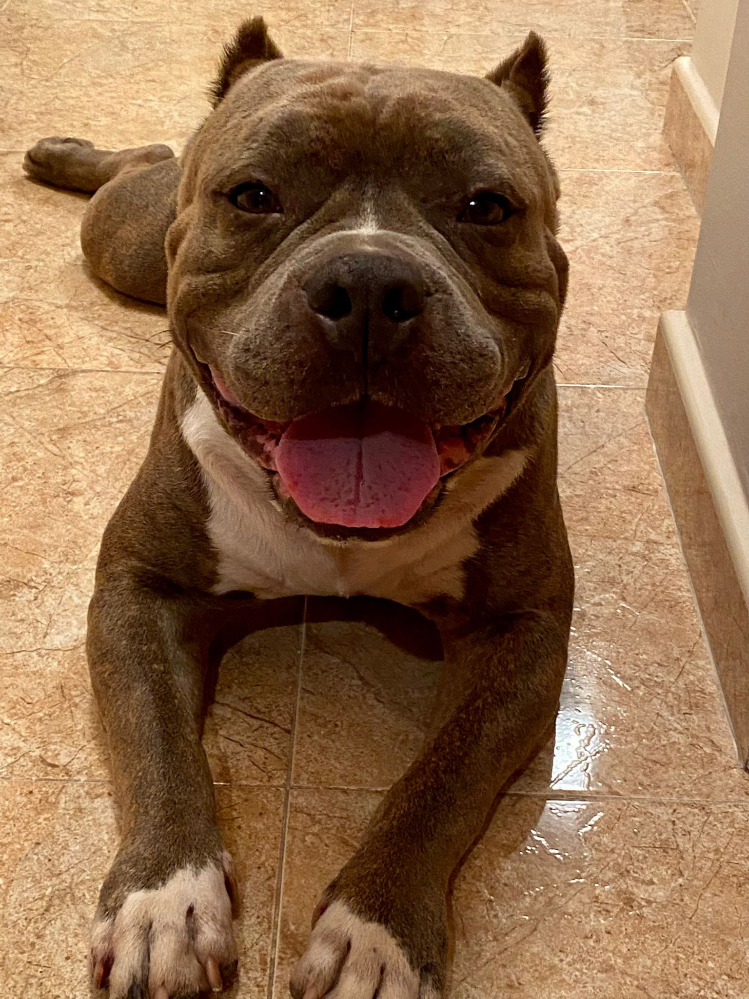 Ragnar