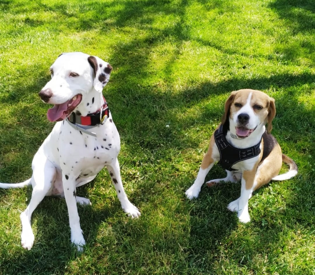 Rumba y coco