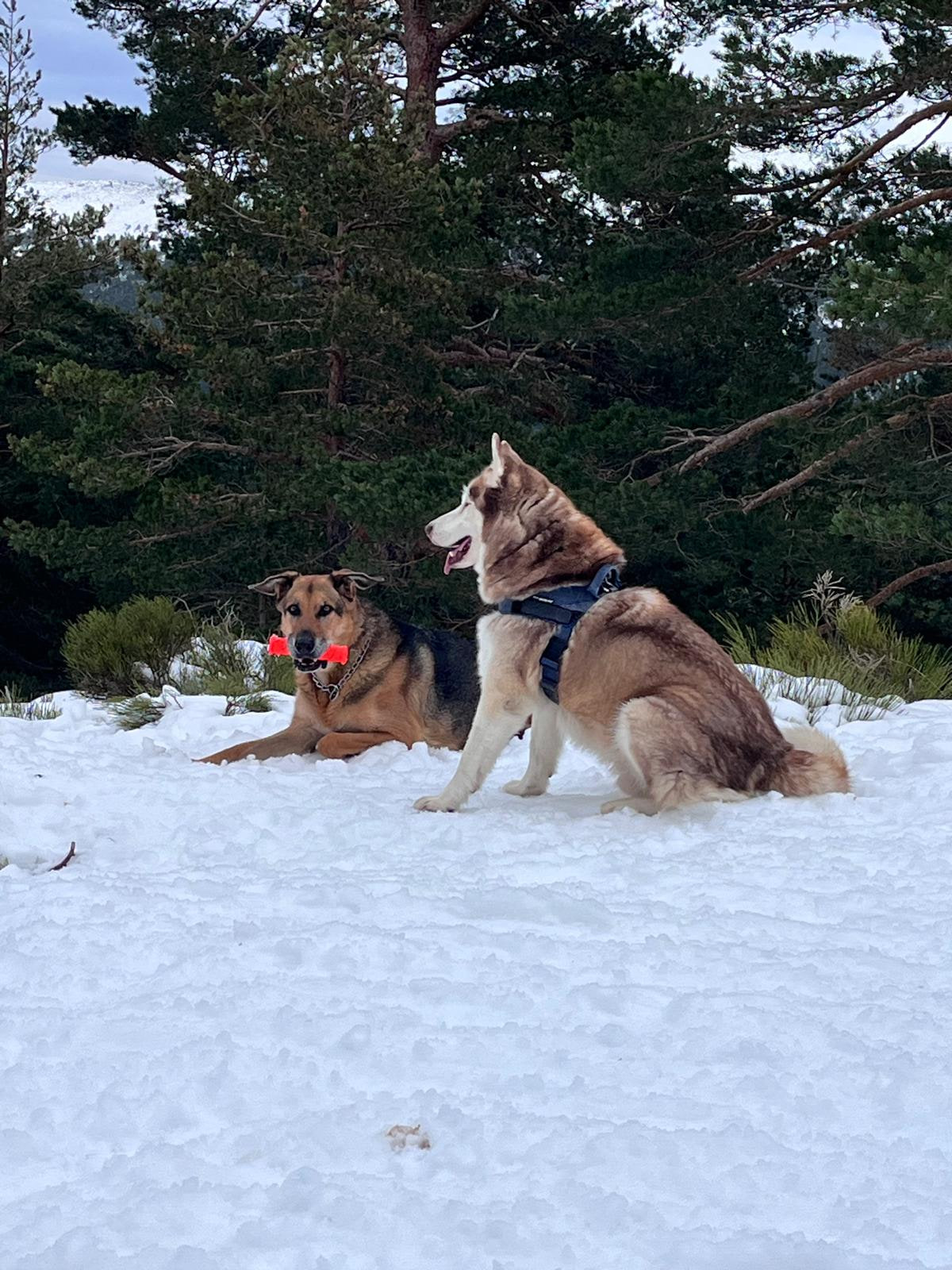Kal-el y Nieve