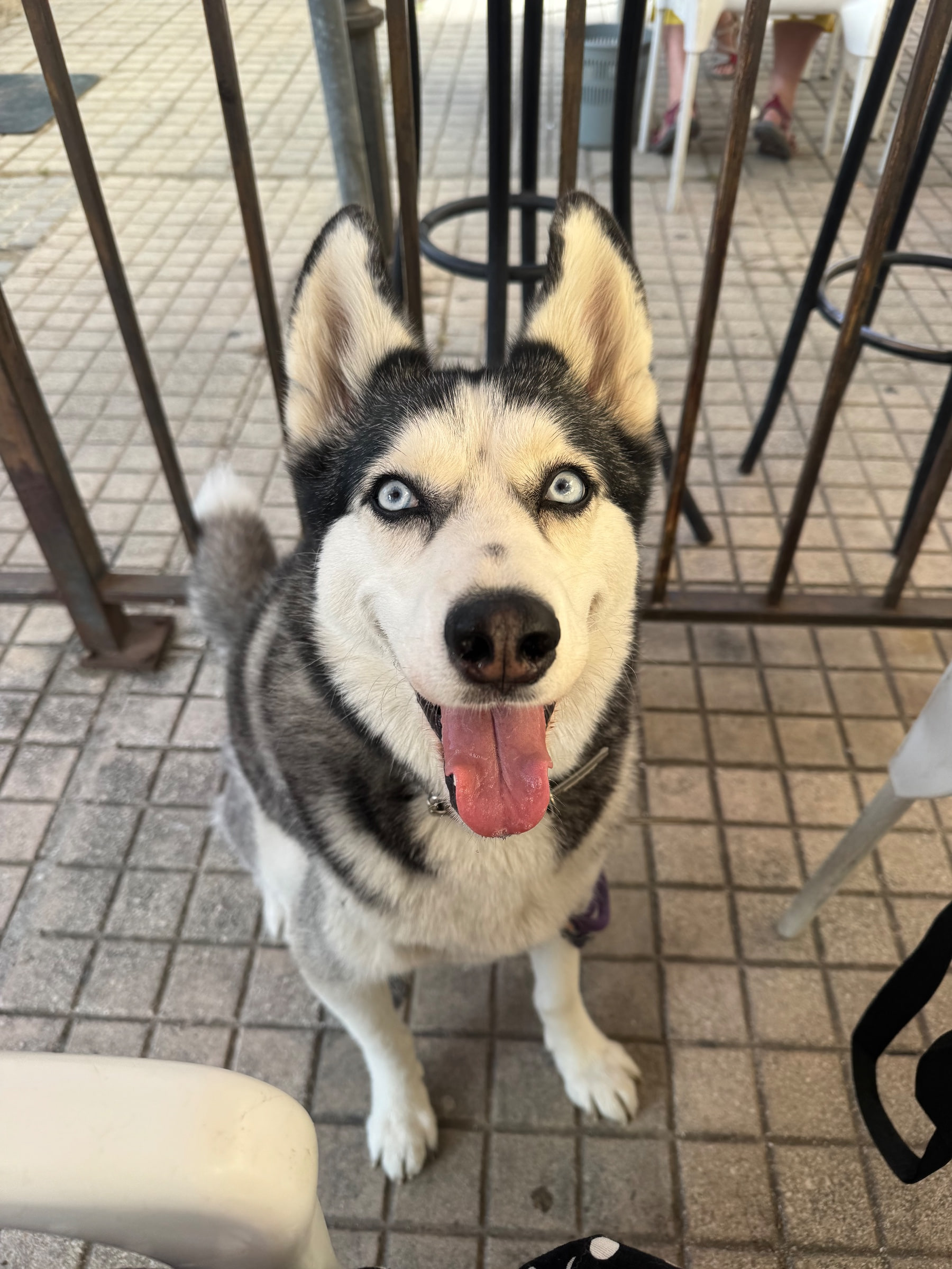 Kiya