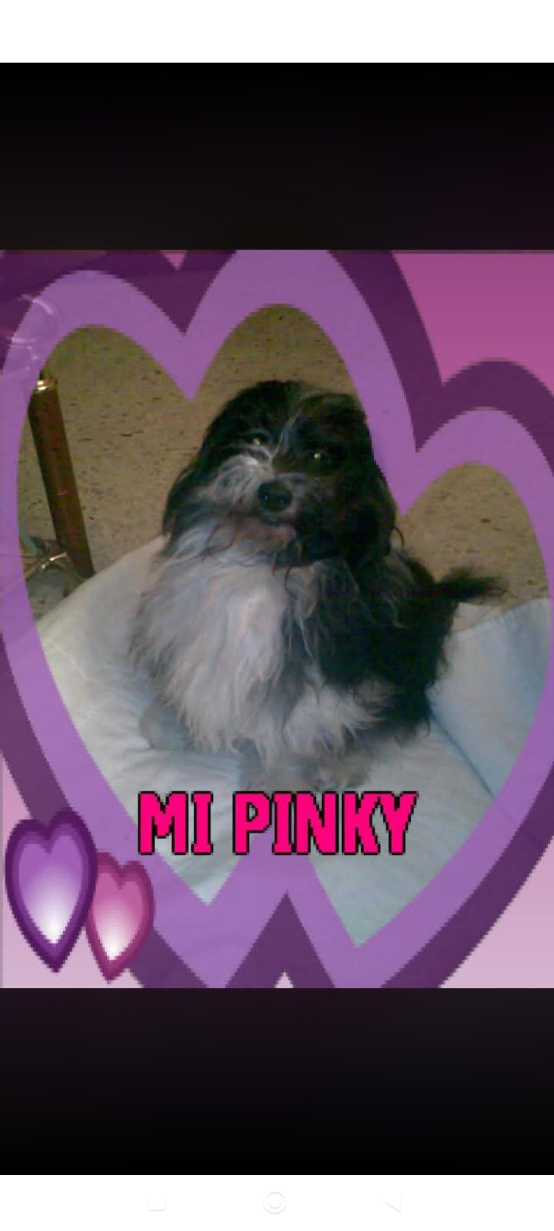 PINKY